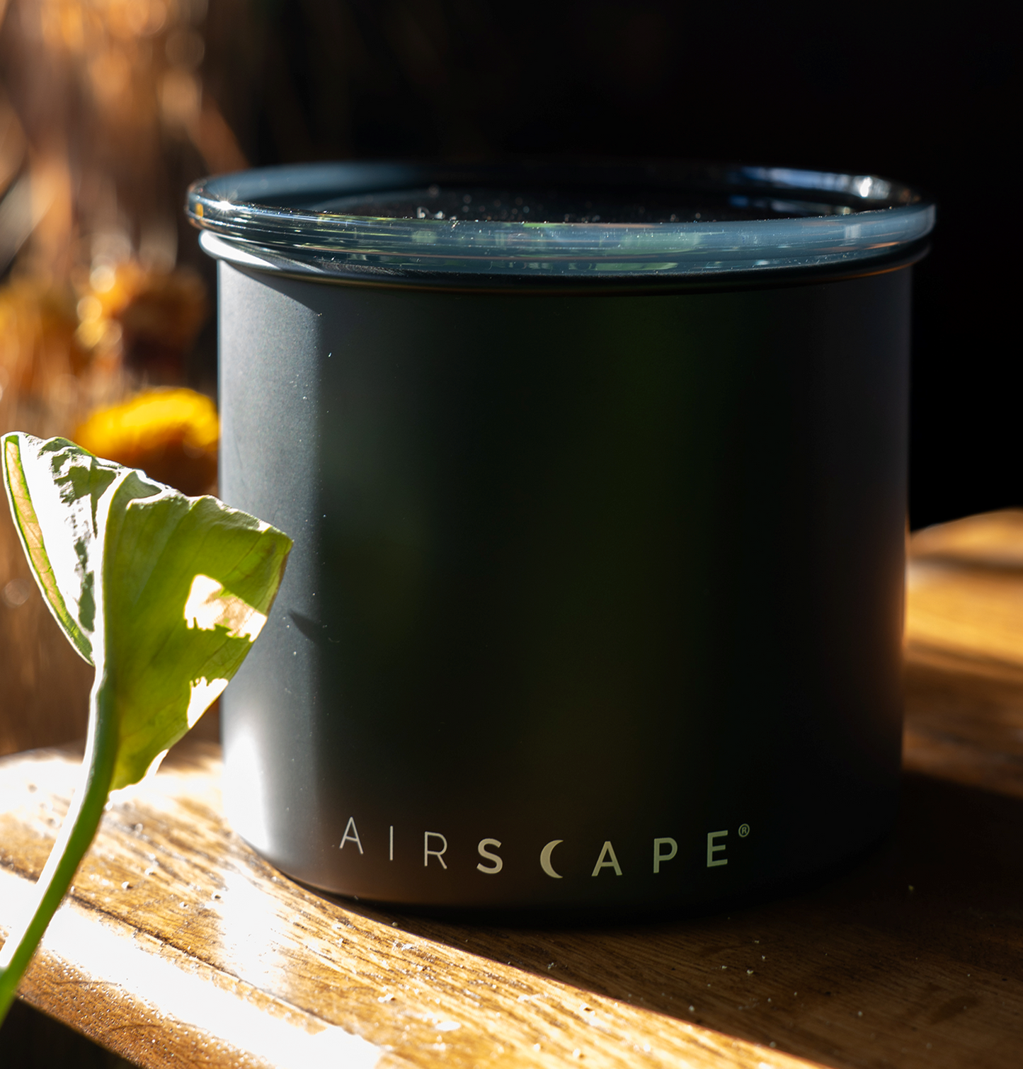 Airscape® Coffee Canister – Classic 4”