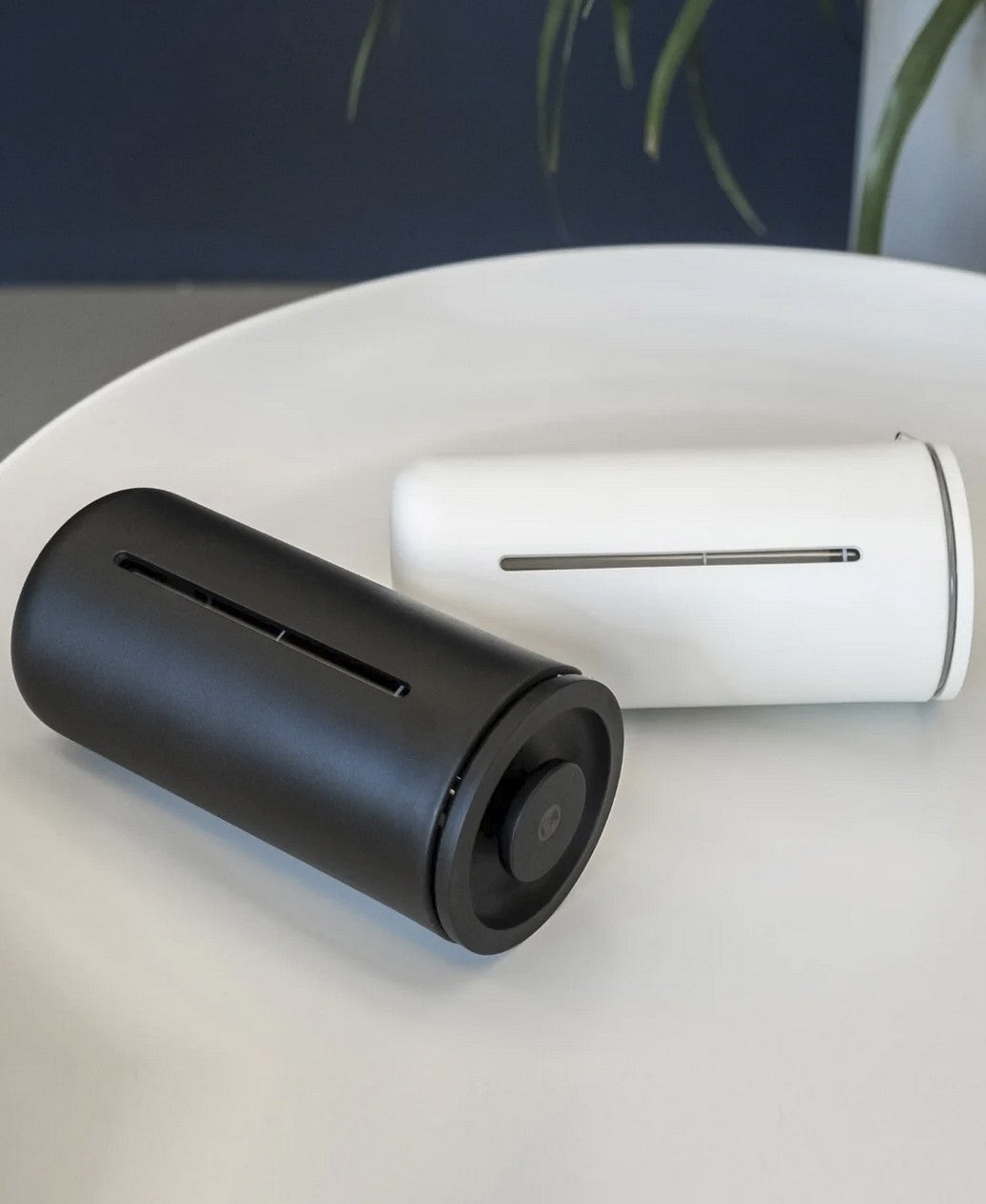 TIMEMORE French Press